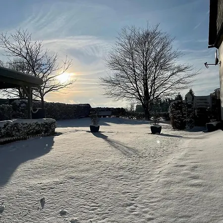 別荘 Ferienhaus Winterberg Lodge