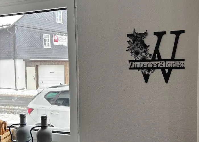 Ferienhaus Winterberg Lodge *